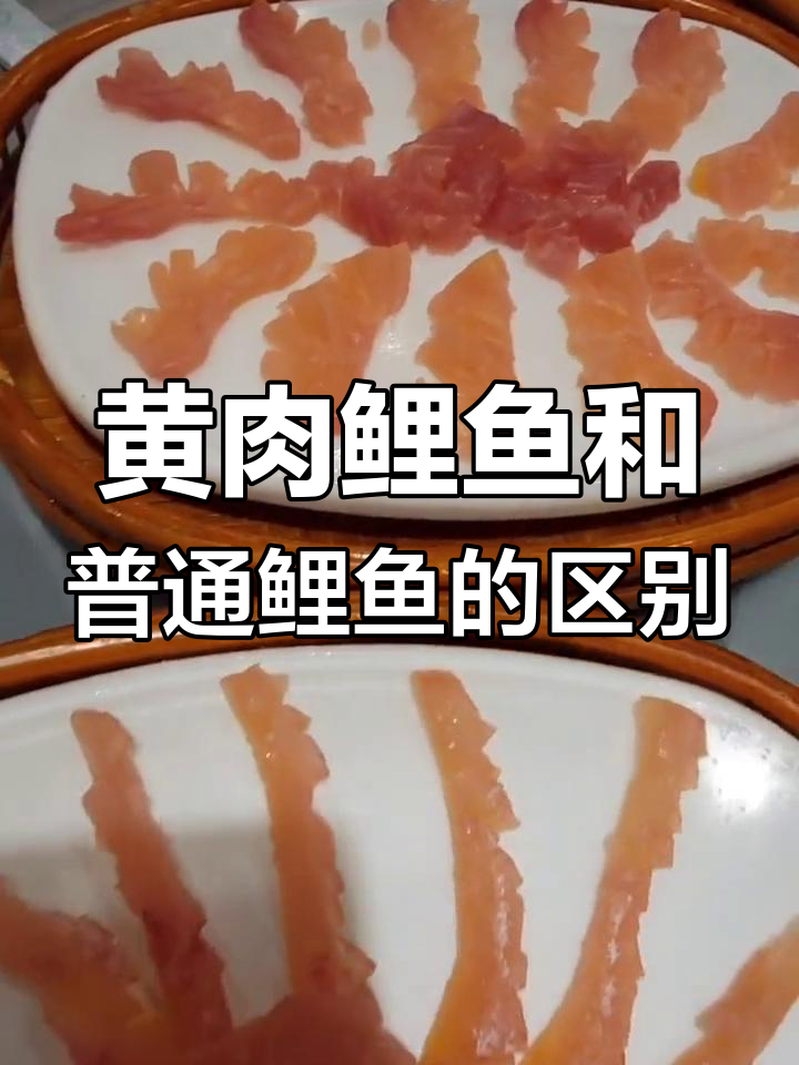 黄肉鲤鱼与普通鲤鱼的差异解析