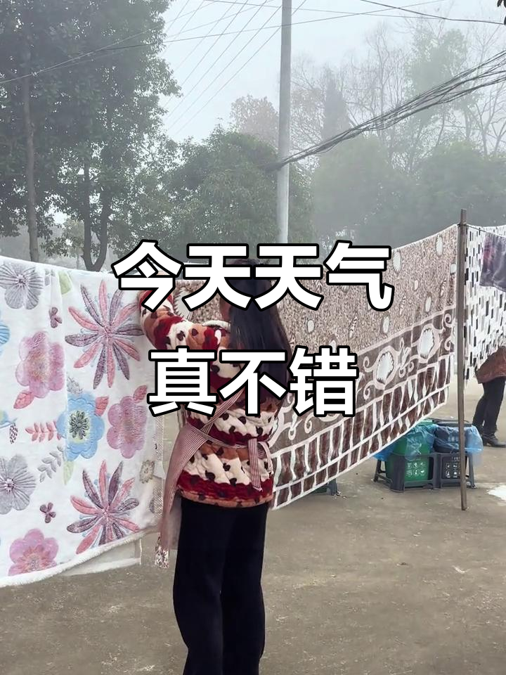 早上起床，天气预报说今天会下雨，结果却出奇的好！