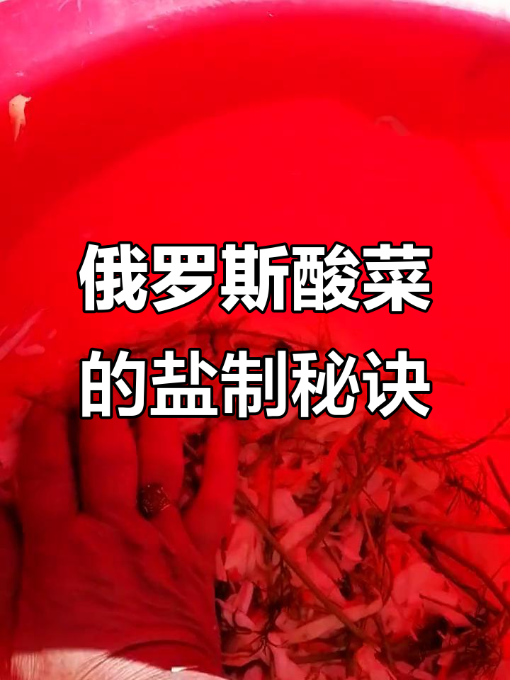 俄罗斯传统酸菜制作:从胡萝卜到大白菜的完美腌制过程