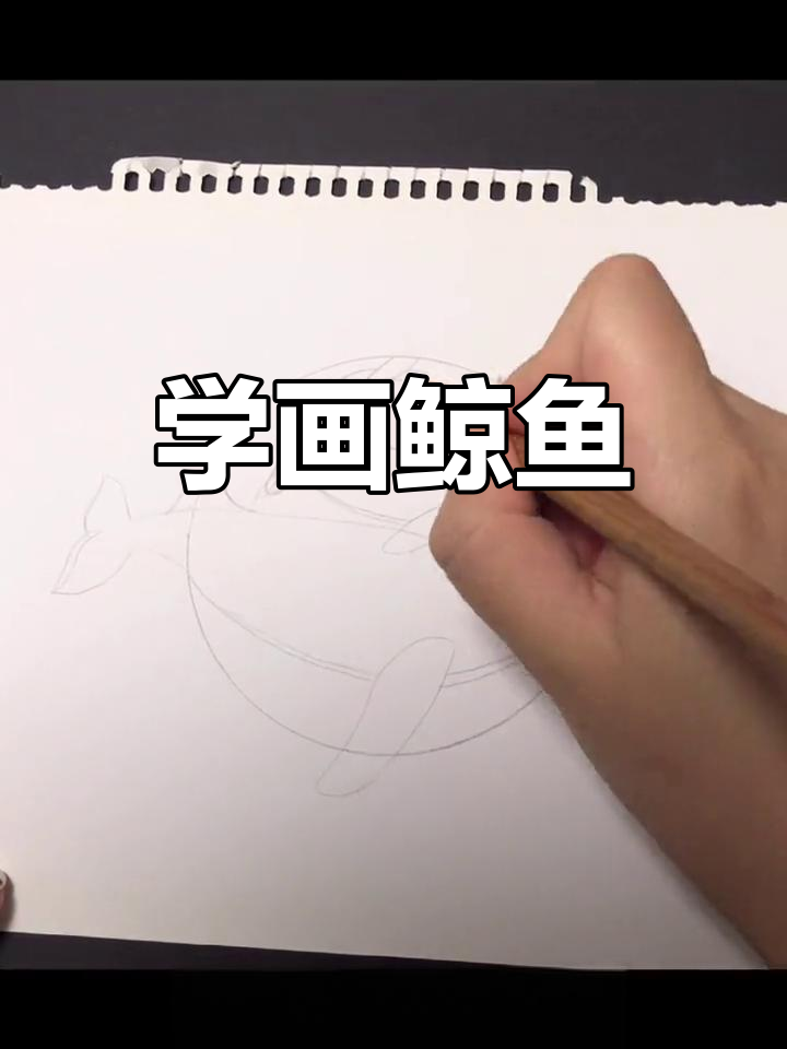 鲸鱼黑白简笔画，轻松学画可爱海洋生物
