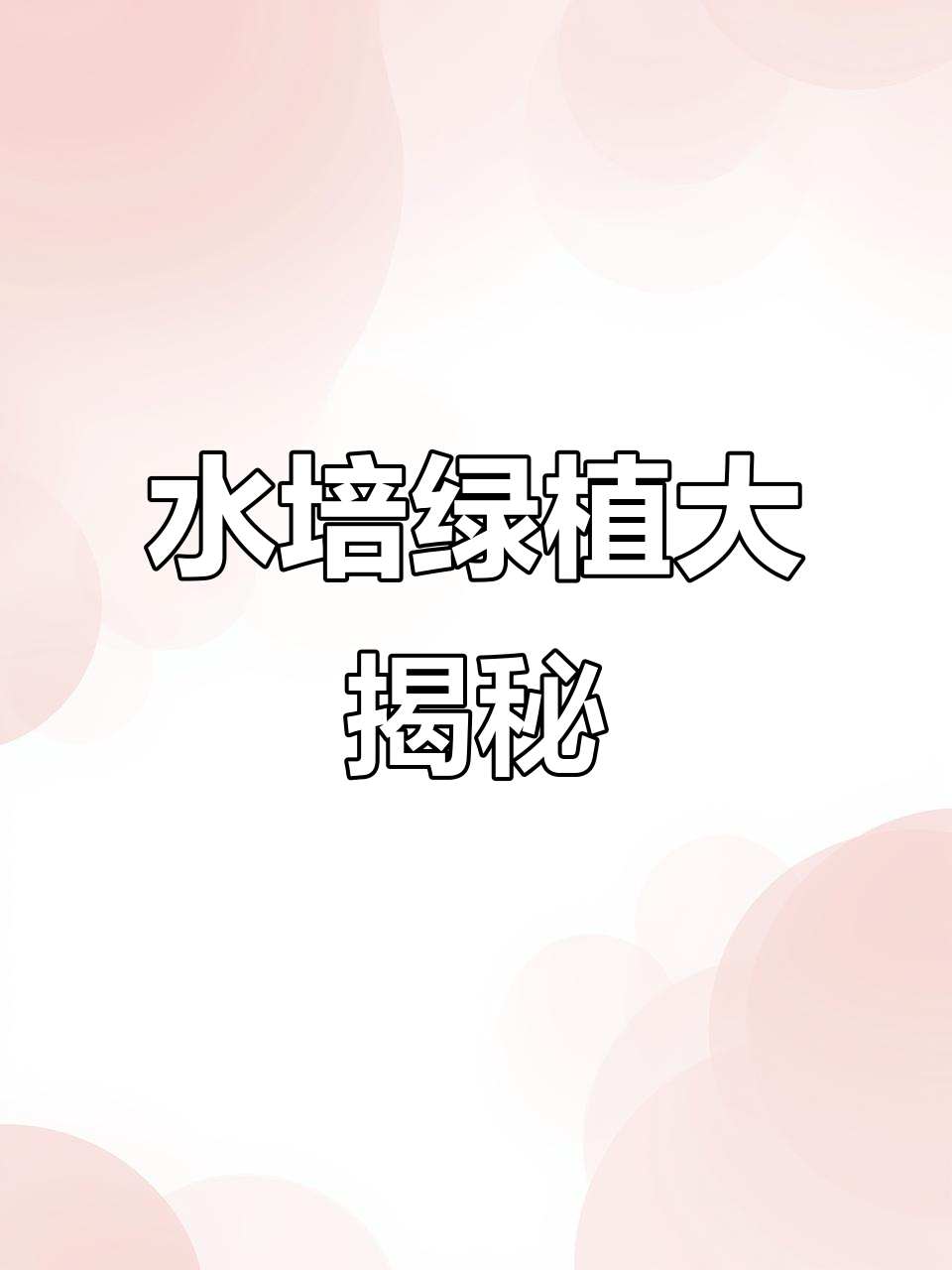 这些水培植物轻松养,自来水就能搞定!