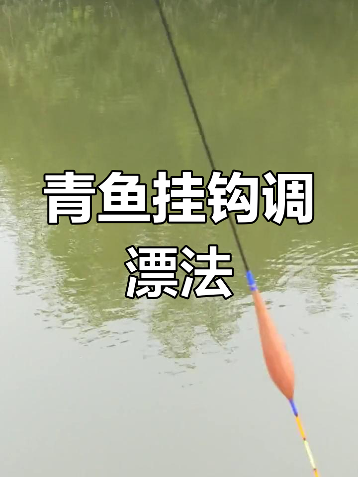 钓青鱼挂螺蛳调漂技巧,轻松掌握