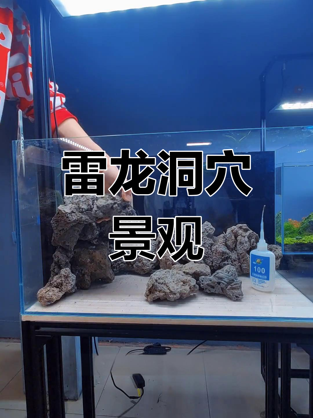 火山石雷龙鱼造景设计