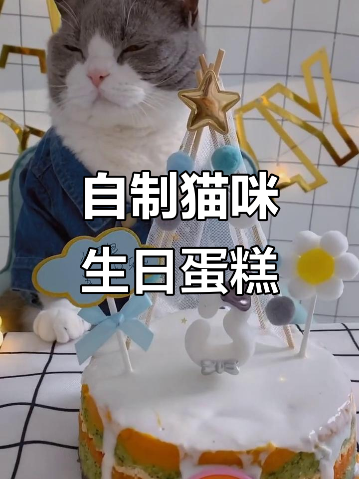 豆包三岁生日快乐，亲手做猫咪蛋糕庆祝！