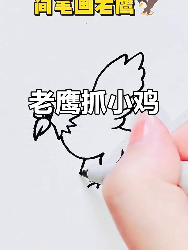 简笔画老鹰捉小鸡，母鸡妈妈快来救！