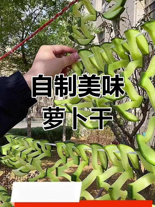 萝卜干咸菜的家常做法,轻松掌握技巧