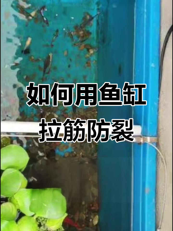 鱼缸拉筋使用技巧，防止变形轻松搞定