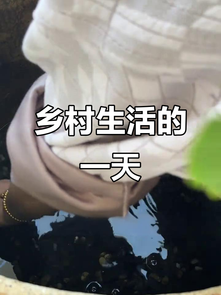 乡村民宿日常:生态鱼缸清理与布置
