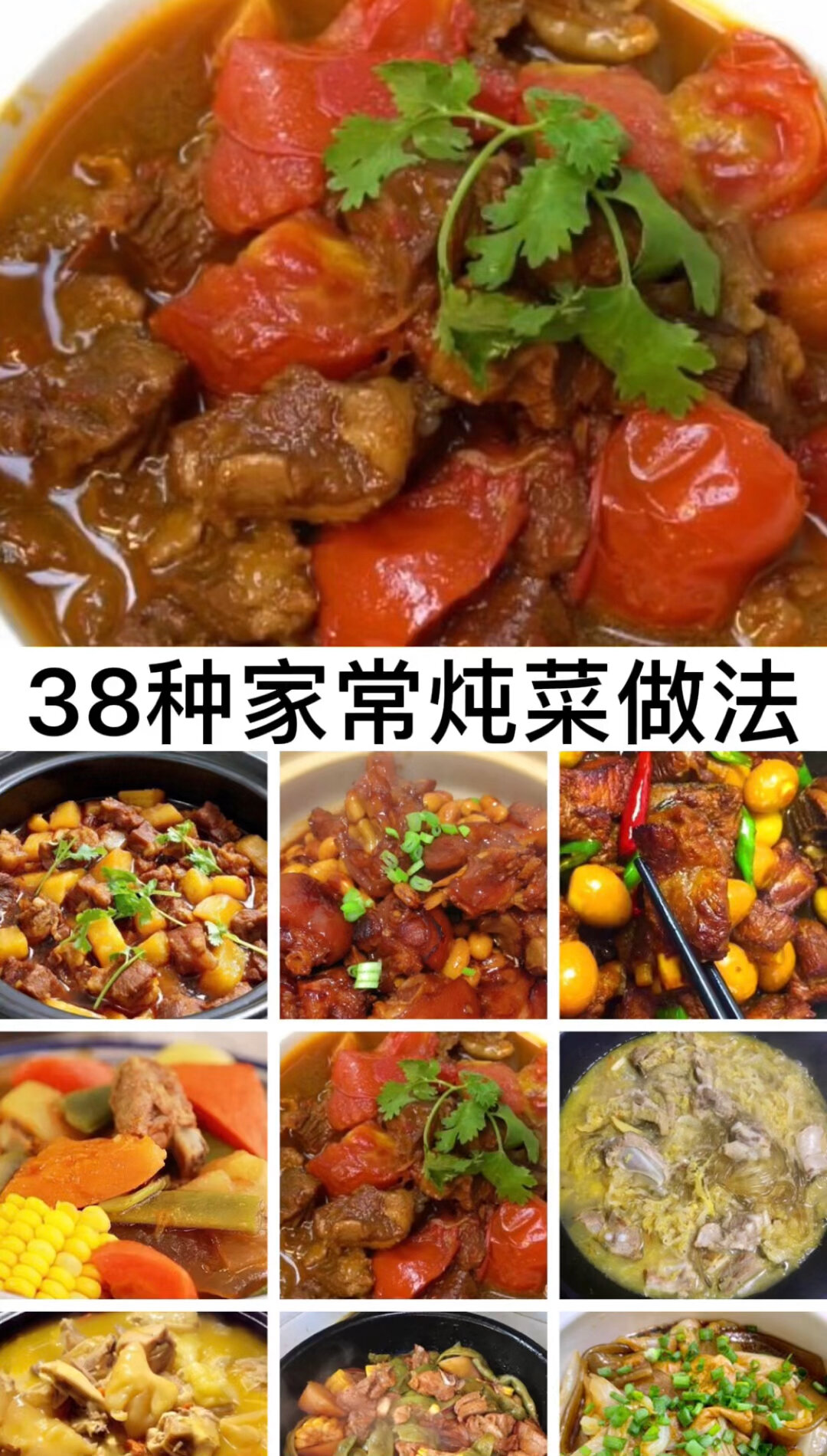 38家常炖菜的做法