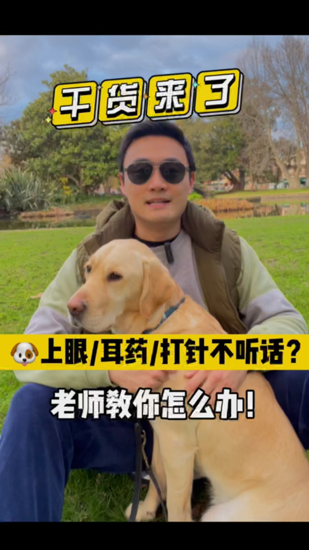 狗狗滴眼药/耳药/打针不乖?教你一招搞定!