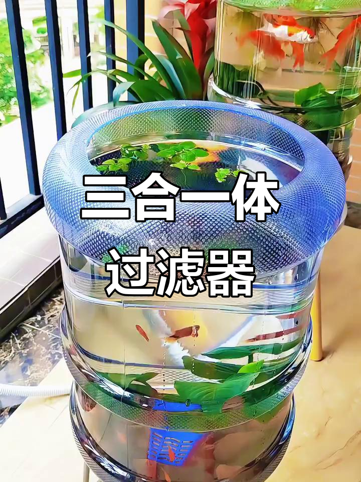 这款过滤器三合一,省去增氧泵,让鱼缸更清爽