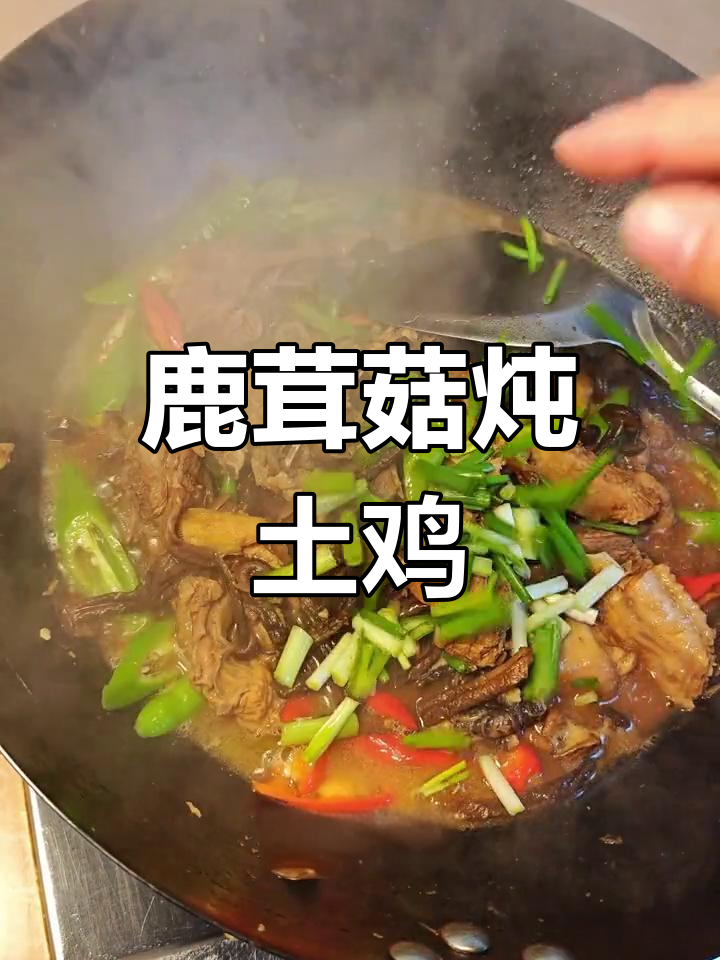 鹿茸菇炖鸡,鲜美至极的完美搭配