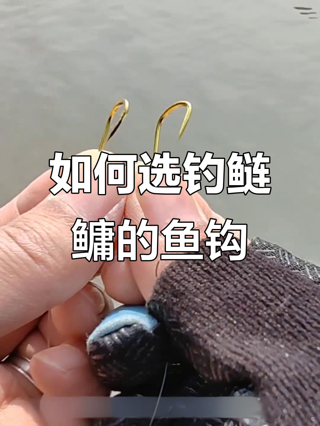 钓鲢鳙必备技巧:鱼钩选择的关键三要素