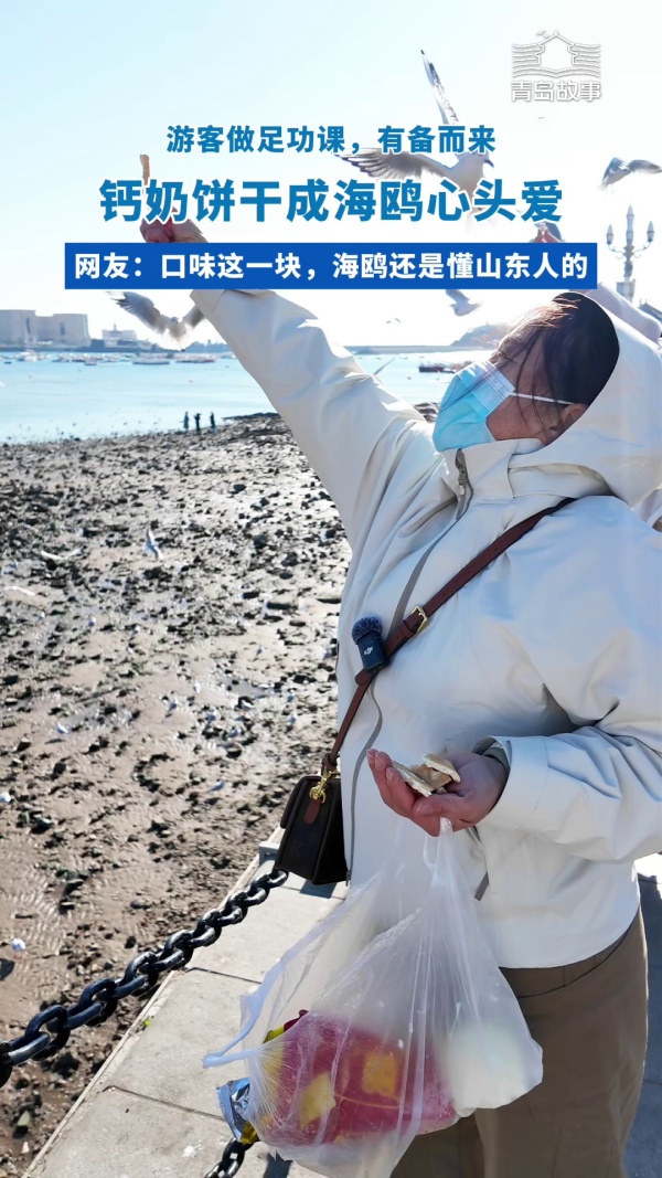 青岛故事|青岛钙奶饼干成海鸥心头爱,网友:口味这一块,海鸥还是懂山东人的