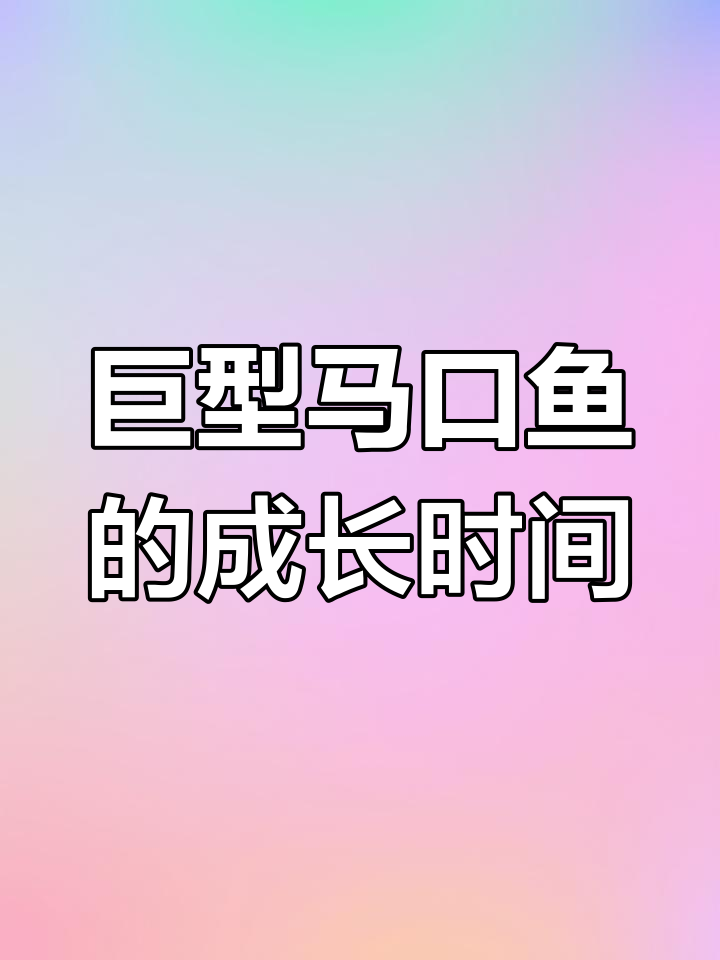 马口鱼养殖周期揭秘