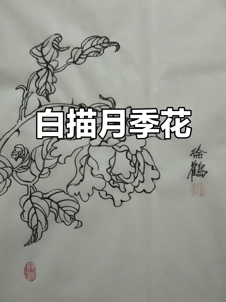 徐鹤中国画白描花卉:月季花之美
