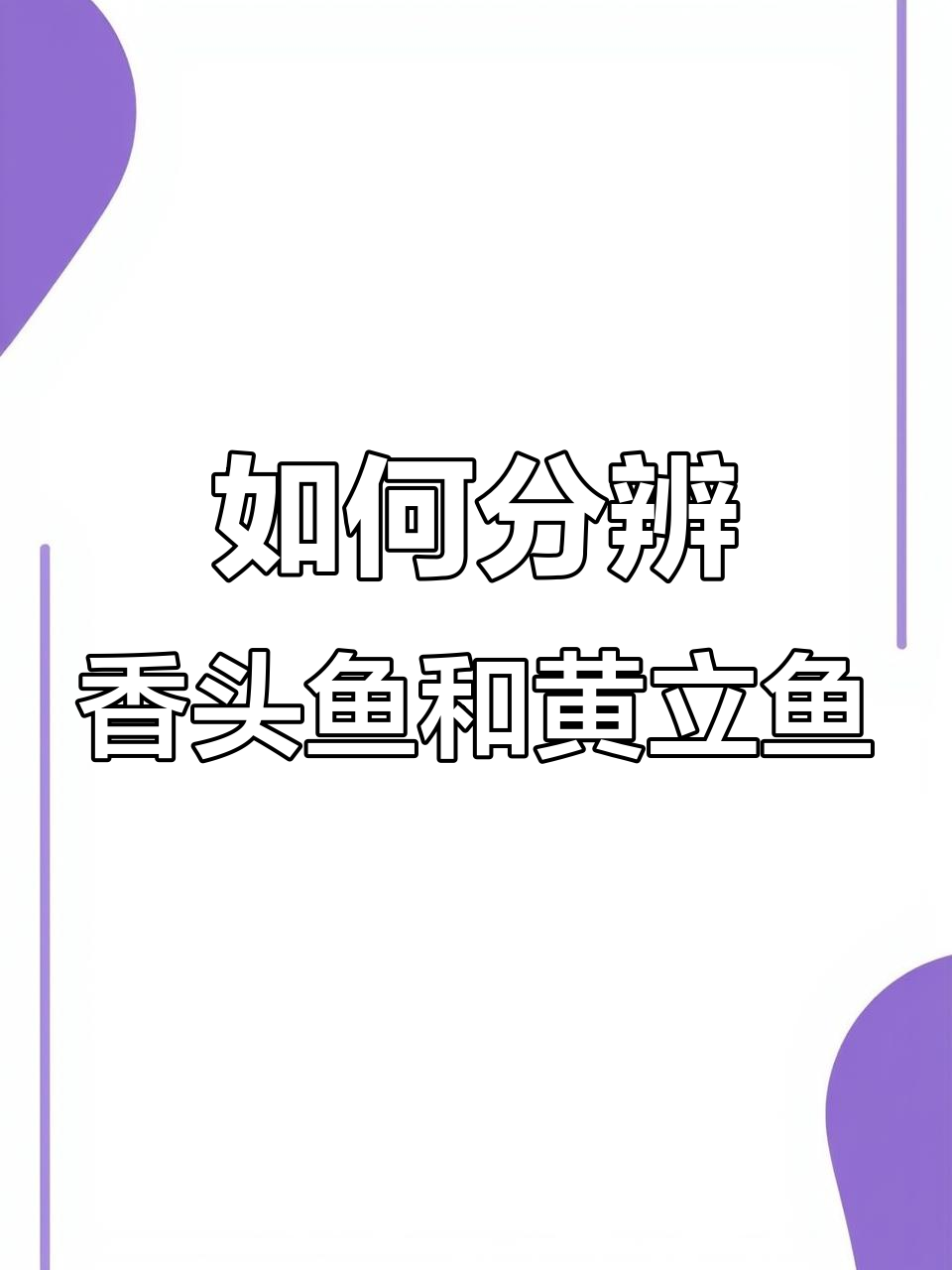 香头鱼与黄鲤鱼的辨别技巧,教你如何挑选海鲜
