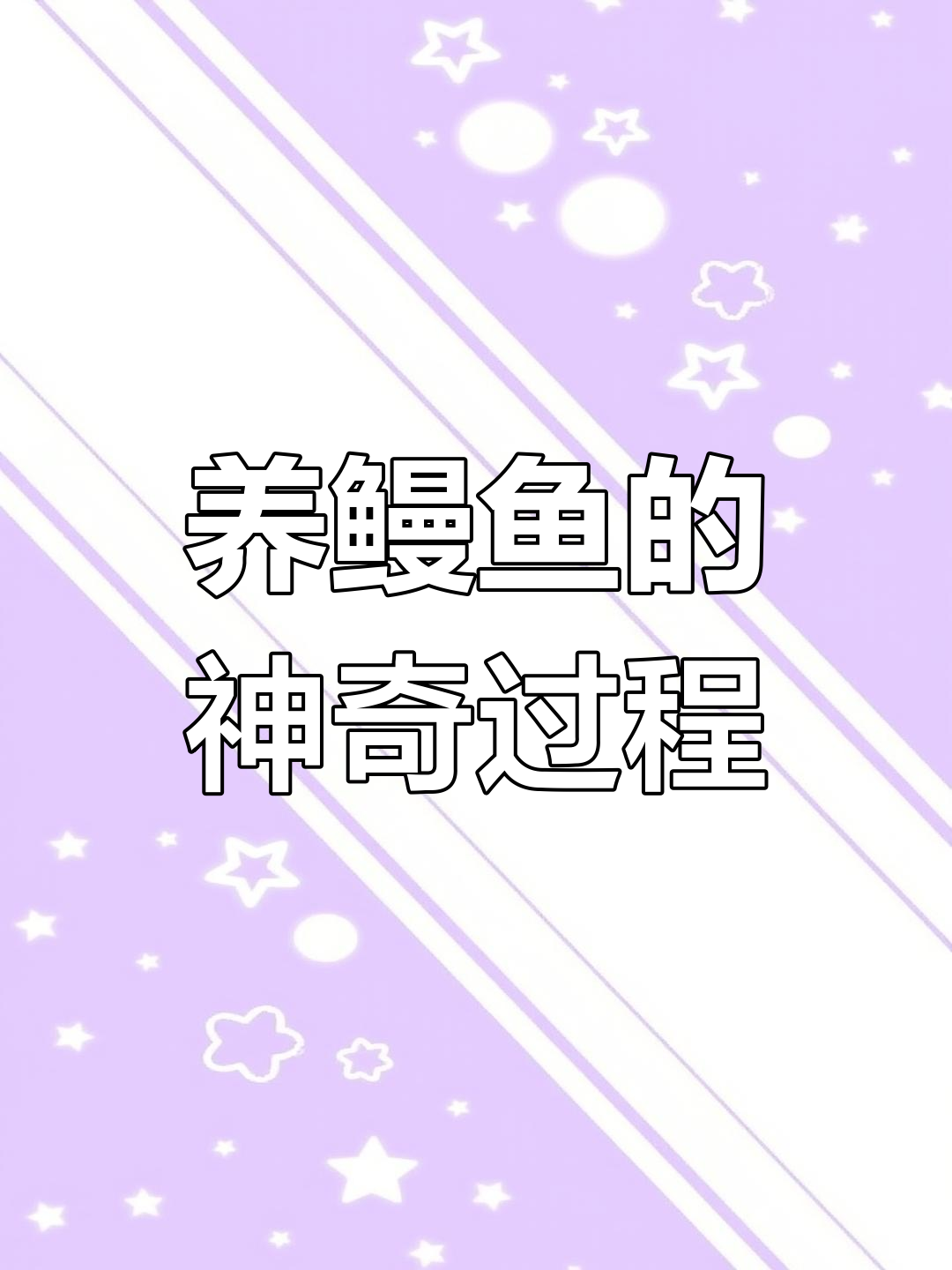 四年养鳗鱼,从苗到金鳗的蜕变