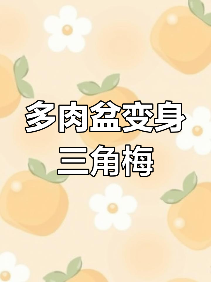 捡了上百个多肉盆,废物利用变三角梅小盆景