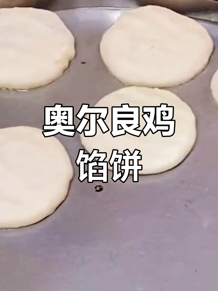 奥尔良风味鸡肉馅饼