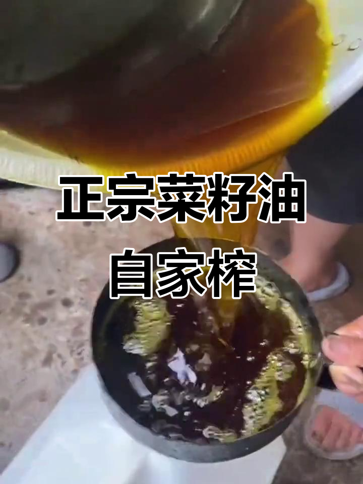 真正的菜籽油,不在超市!农家自榨才是正宗选择