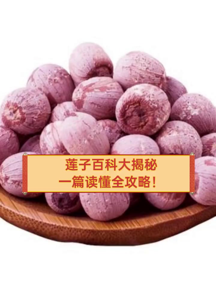 莲子百科大揭秘,一篇读懂全攻略!