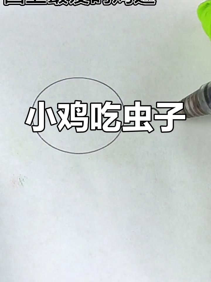 鸡崽吃虫小米,成长过程画法