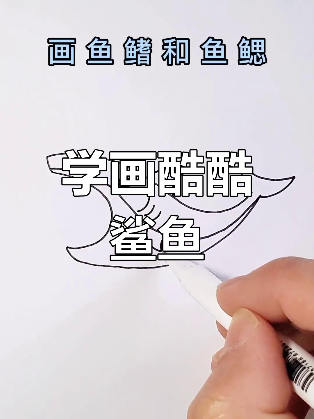 简单鲨鱼简笔画教程