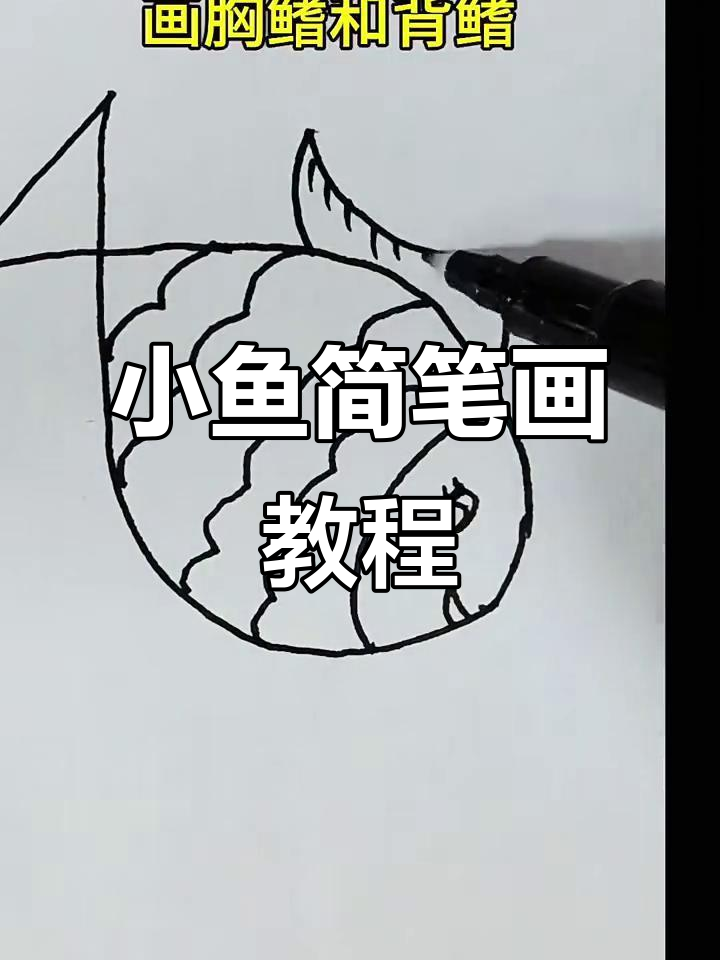 简单步骤教你画可爱彩色小鱼，轻松上手！
