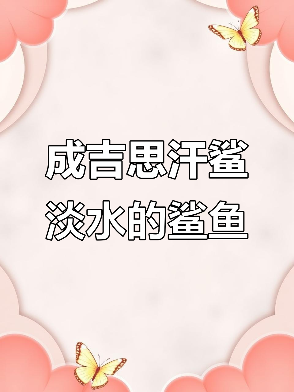 淡水中的“鲨鱼”成吉思汗鲨,已列入国家一级保护动物