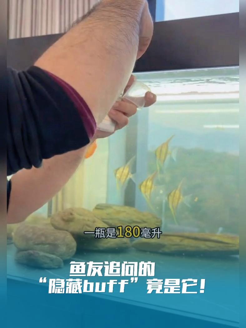 鱼友追问的“隐藏buff”竟是它!每3天一次激活鳞片代谢,尾鳍生长速度翻倍!一周后全网求同