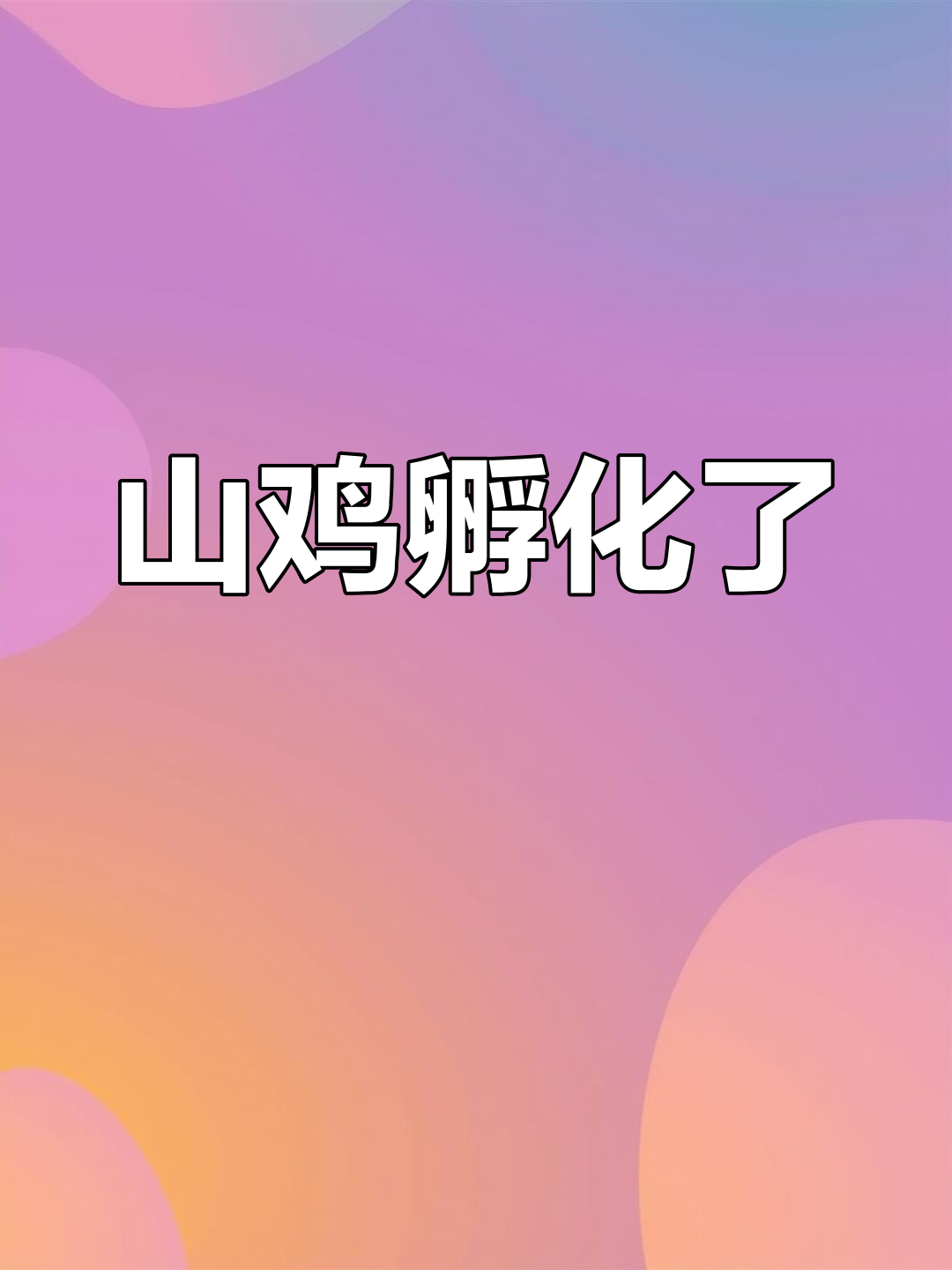 首次孵化七彩山鸡,羽毛绚丽,真是大自然的奇迹!