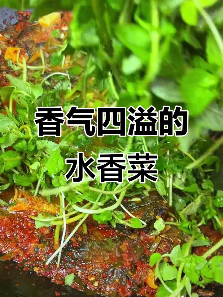 水香菜香气扑鼻,煮鱼汤或凉拌都让人食欲大增