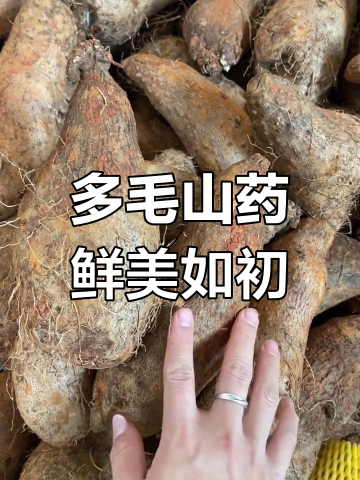 山药毛须多,肉质粘稠,炒菜煲汤都特别香
