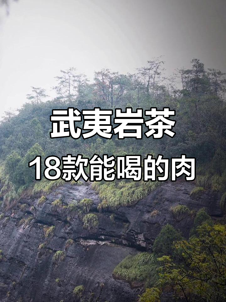 武夷岩茶的18种“肉”味,你尝过几种?