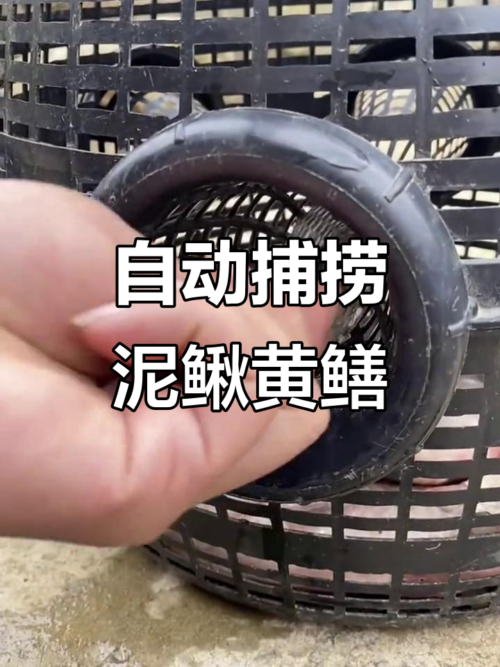 捕泥鳅黄鳝轻松搞定，自动鱼笼让你收获满满