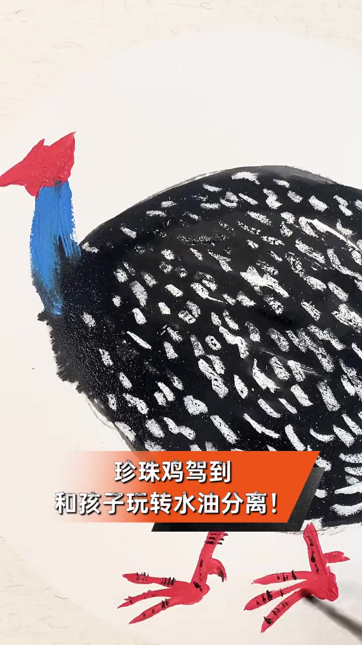珍珠鸡驾到,和孩子玩转水油分离!