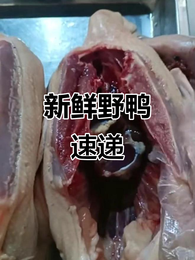 野鸭新鲜宰杀,冰袋包装后冷藏发货