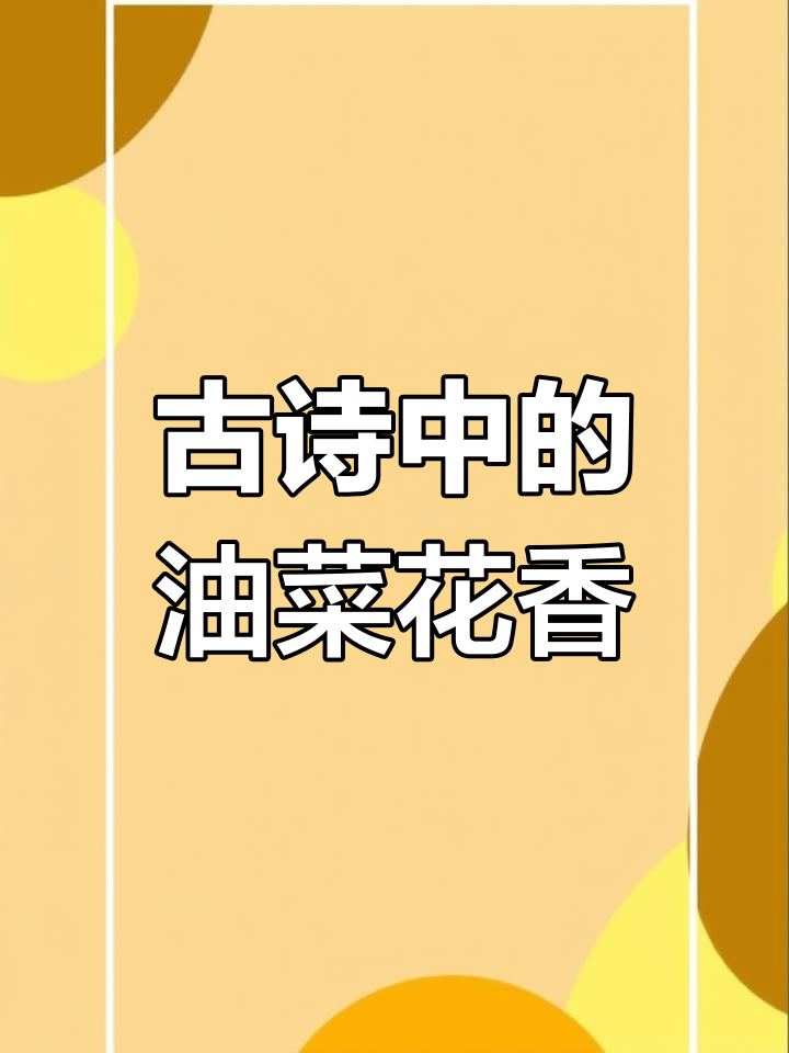 油菜花与古诗词的美丽邂逅,诗意盎然