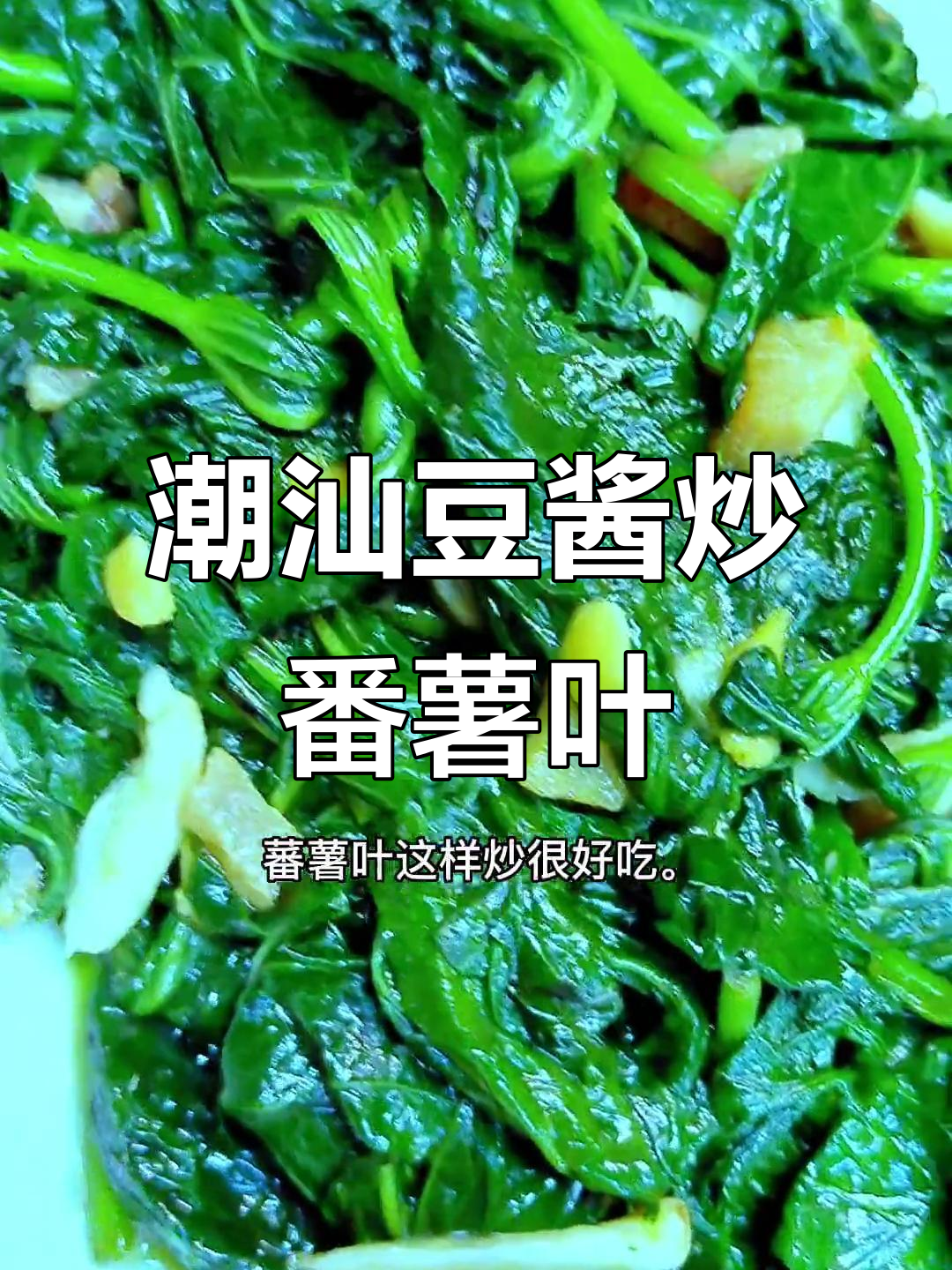 潮汕豆酱炒蕃薯叶,配粥配饭都超下饭