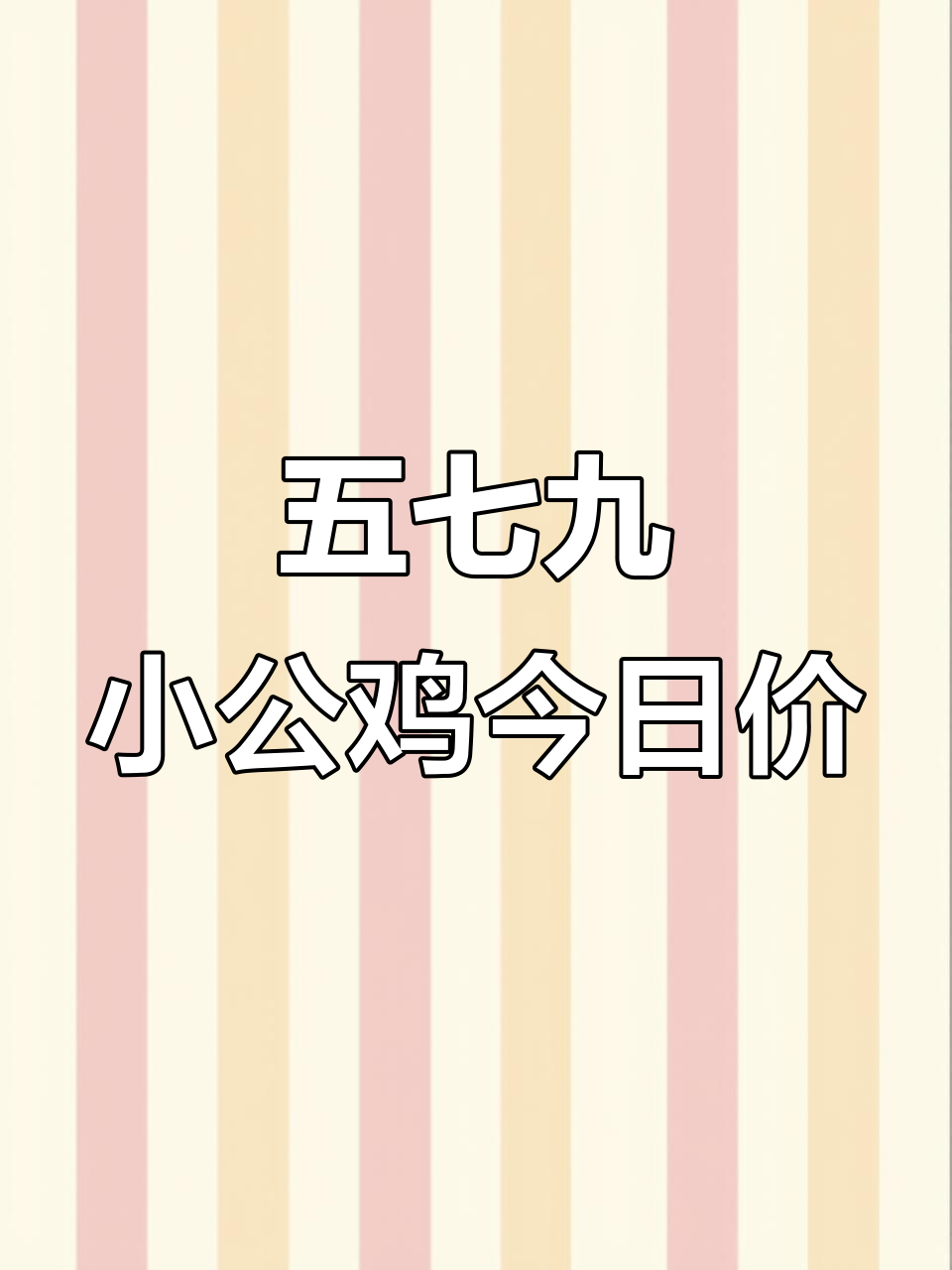 2025年11月9日临沂五七九小公鸡及白条鸡价格解析