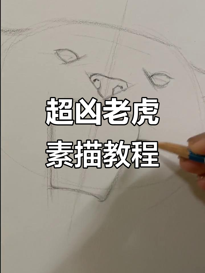 教你画凶猛老虎,细节步骤全解析