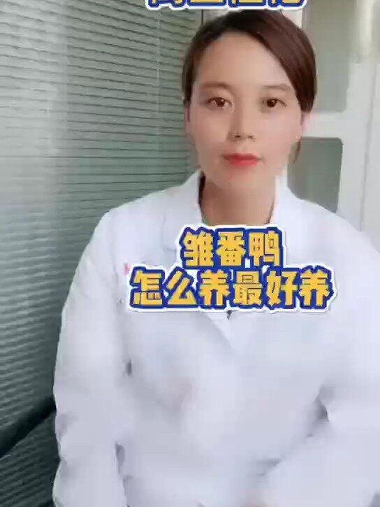 禽医恒艳讲雏番鸭怎么养最好养