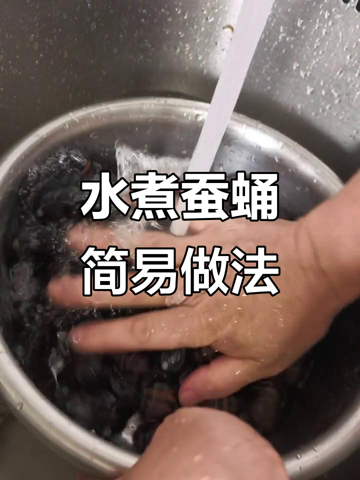 懒人必备,水煮蚕蛹简单又营养,家常做法轻松做