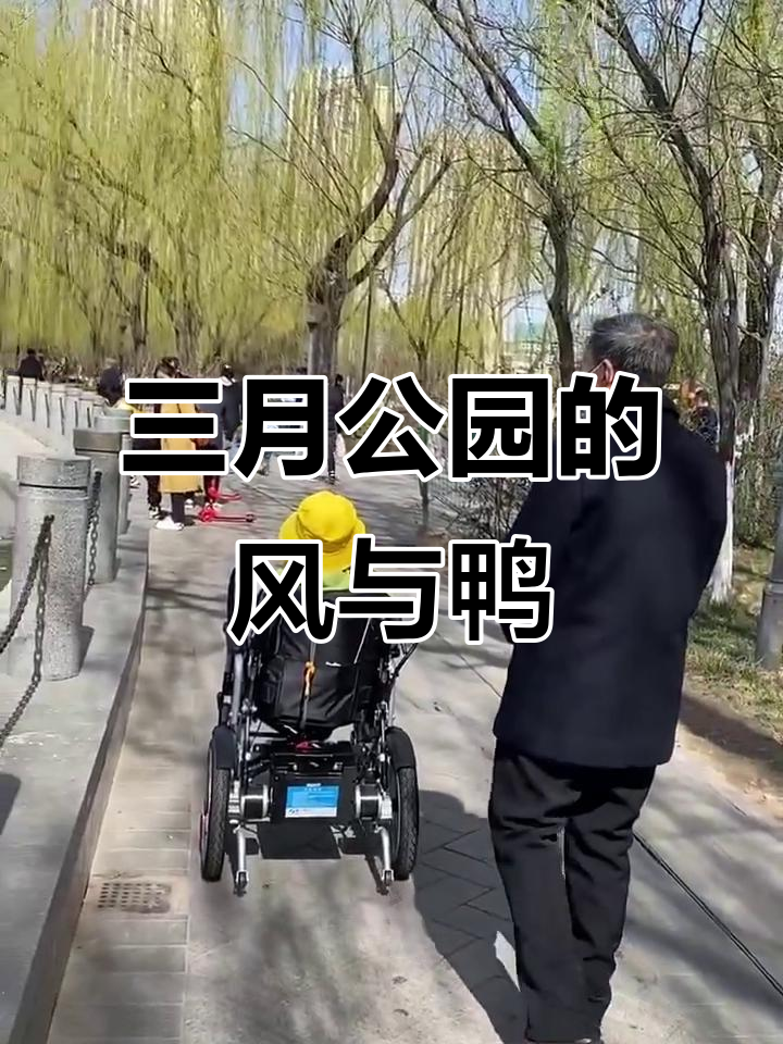 太原三月风大,公园绿意盎然,鸭子可爱萌态十足