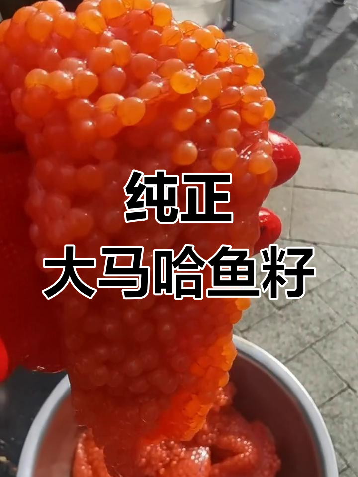 大马哈鱼籽:天然营养宝库,脑磷脂与卵磷脂丰富