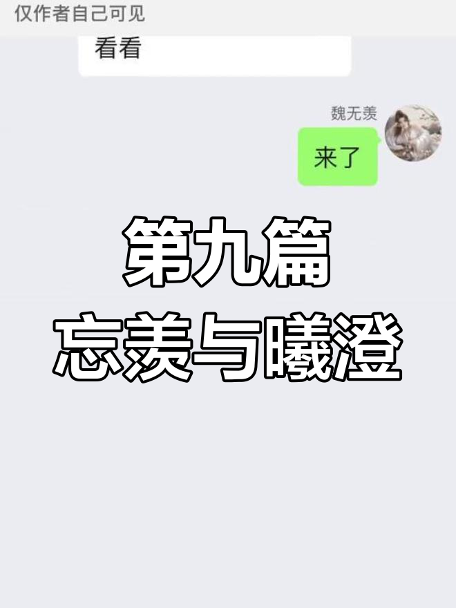 忘羡与曦澄的精彩故事,第九篇揭秘