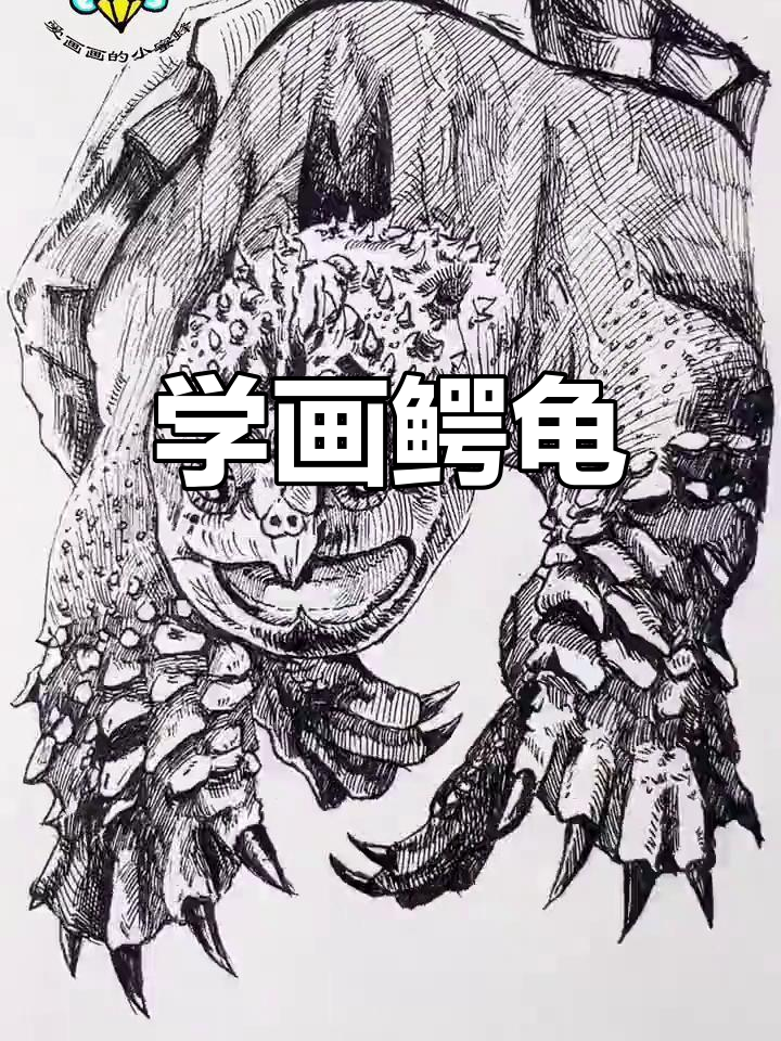 轻松学画鳄龟,钢笔画速写技巧大公开