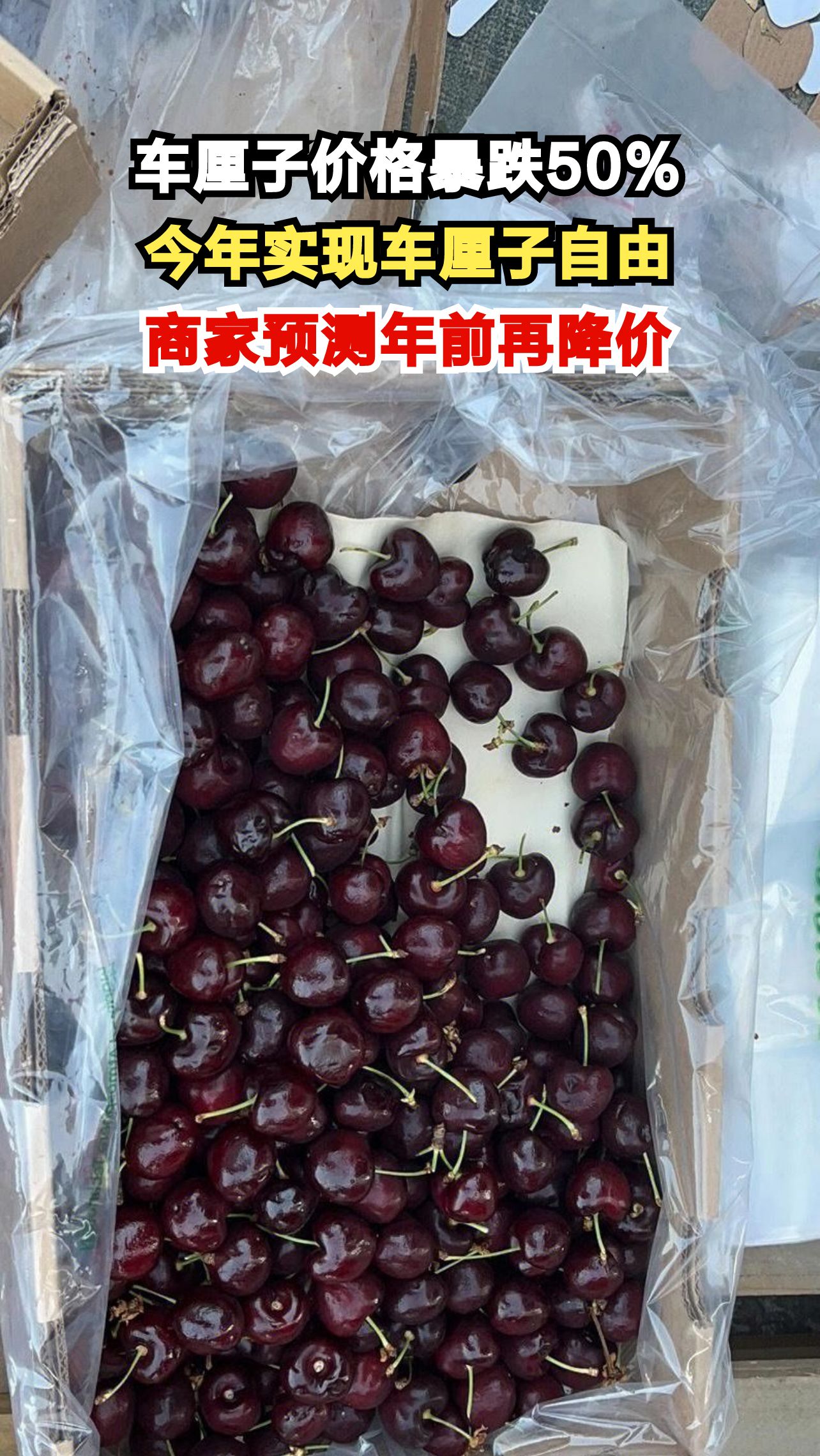 车厘子价格创十年新低,两杯奶茶钱就能买一斤,商家一天狂卖近万斤