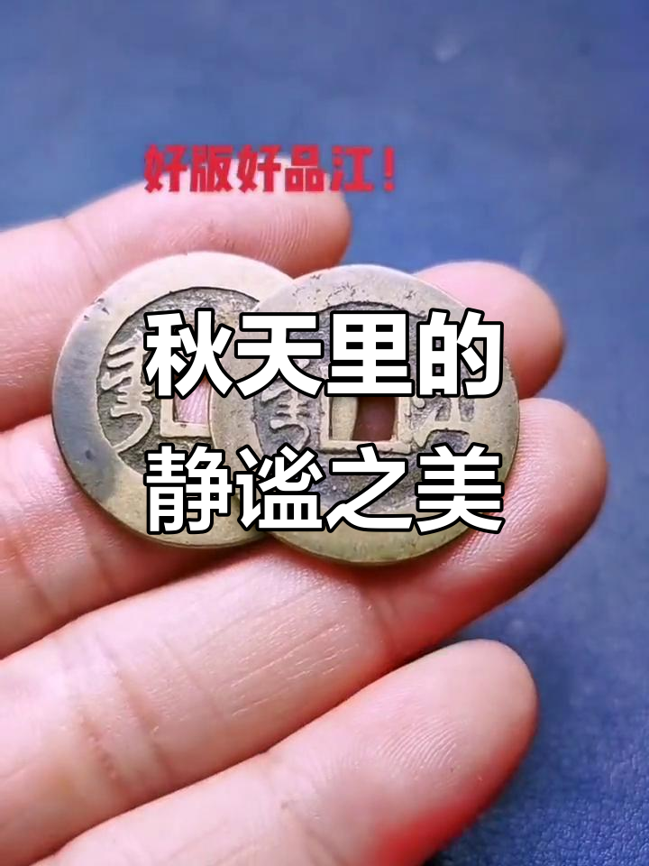 秋天的诗意与宁静,柳叶飘落中的美丽时光
